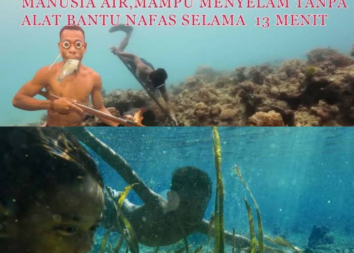 Penakluk Dunia Laut! Inilah Suku-suku Indonesia Terkenal dengan Ketahanannya Menyelam di Laut