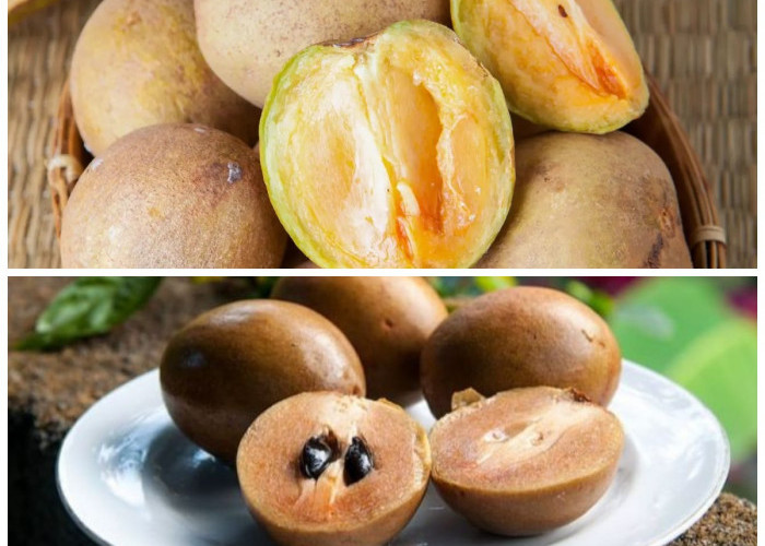 Tak Hanya Manis, Buah Sawo Ternyata Punya Khasiat Hebat untuk Tubuhmu!