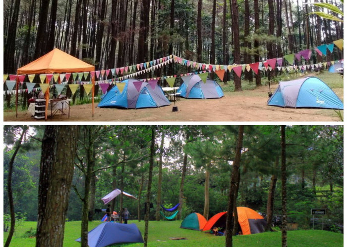 Cuma 1 Jam dari Jakarta, Camping Seru di Taman Wisata Alam Gunung Pancar Cocok Untuk Keluarga!