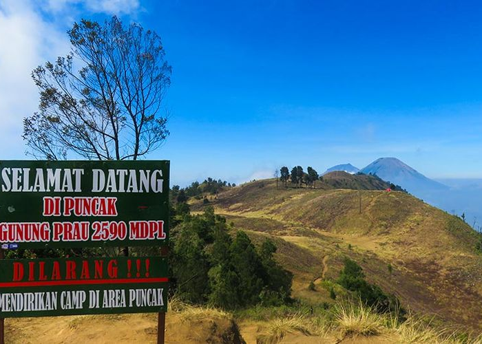 Eksplorasi Gunung Prau, 7 Fakta Unik yang Wajib Anda Ketahui Sebelum Mendaki!