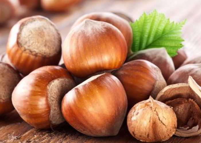 5 Manfaat Hazelnut yang Baik untuk Kesehatan Tubuh 