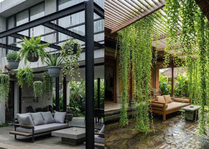 Inspirasi Teras Rumah Teduh dengan Tanaman Gantung, Sejuk dan Menenangkan!