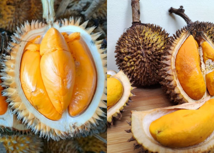 Jangan Salah Pilih! Ini Makanan yang Baik Dikonsumsi Setelah Makan Durian