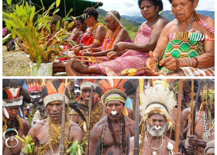 Mengenal Suku Arfak: Kekayaan Tradisi dan Sejarah dari Pegunungan Papua