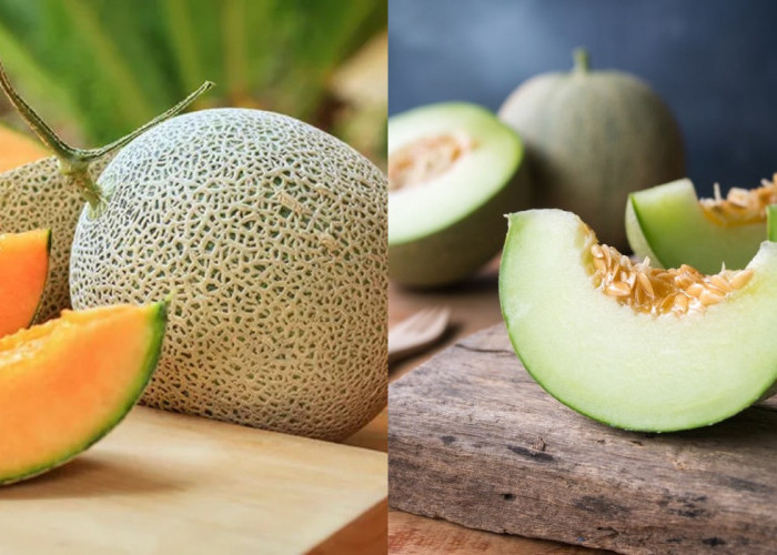 7 Cara Mengonsumsi Melon yang Rendah Kalori