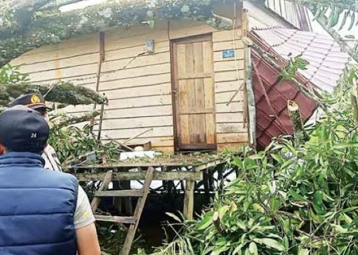 Total 802 Rumah di Sumsel Rusak Akibat Puting Beliung,  Tidak Ada Korban Jiwa