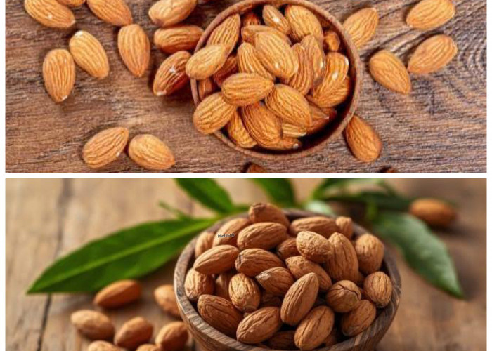8 Rekomendasi Kacang Almond Terbaik untuk Camilan Sehat, Renyah, dan Kaya Nutrisi