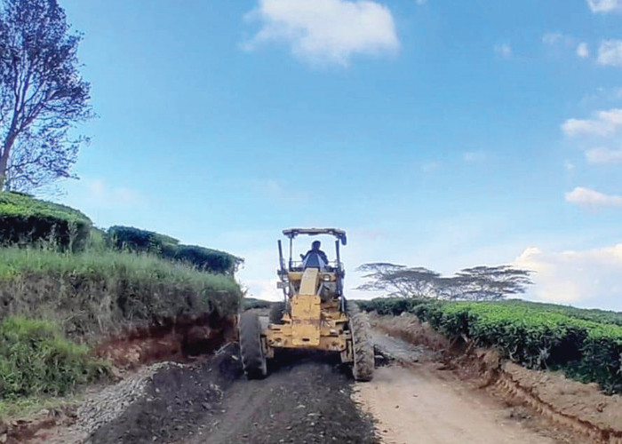 Pemkot Pagar Alam Tingkatkan Jalan Janang–Rimau, Akses Pariwisata dan Konektivitas Wilayah Makin Lancar