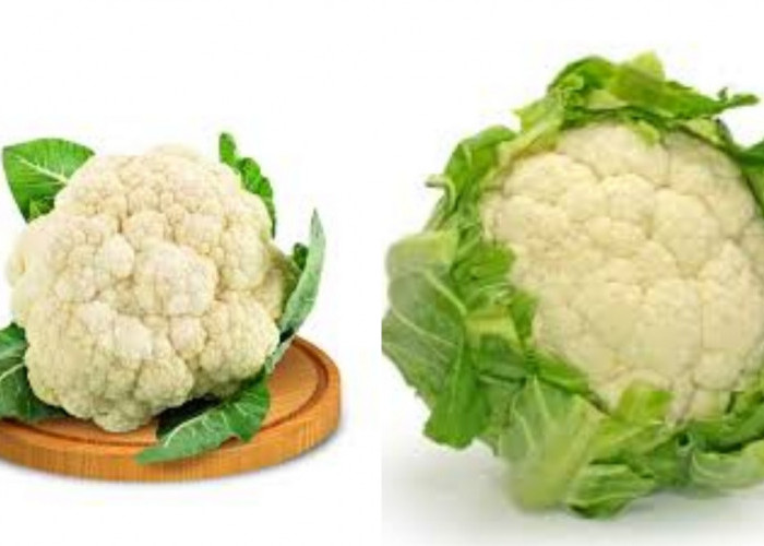 Catat! 7 Manfaat Kembang Kol Untuk Kesehatan Tubuh Yang Perlu Kalian Ketahui