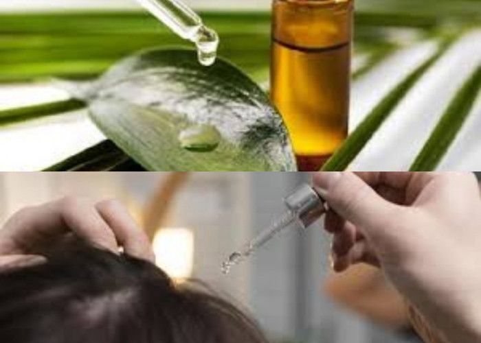 Ini 4 Manfaat Tea Tree Oil untuk Kesehatan Rambut, Bisa Atasi Kutu Juga Loh!