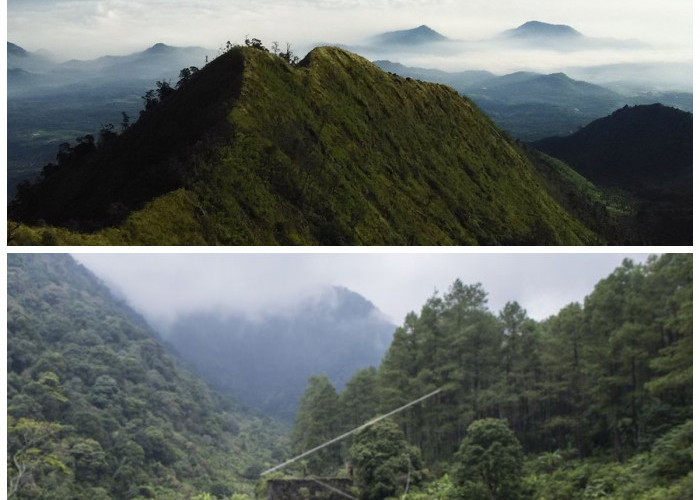 Keajaiban Alam di Balik Kabut Gunung Puntang Bandung Jawa Barat: Kisah-Kisah Misteri yang Menakjubkan
