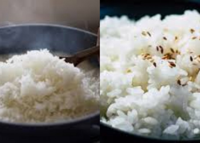 Wajib Tahu Cara Ampuh Mengatasi Nasi Keras Karena Kurang Air di Rice Cooker!