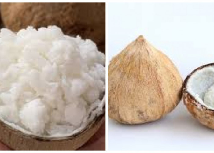 Resep Es Kopyor Sehat Tanpa Santan, Cocok untuk Menghilangkan Dahaga Setelah Beraktivitas !