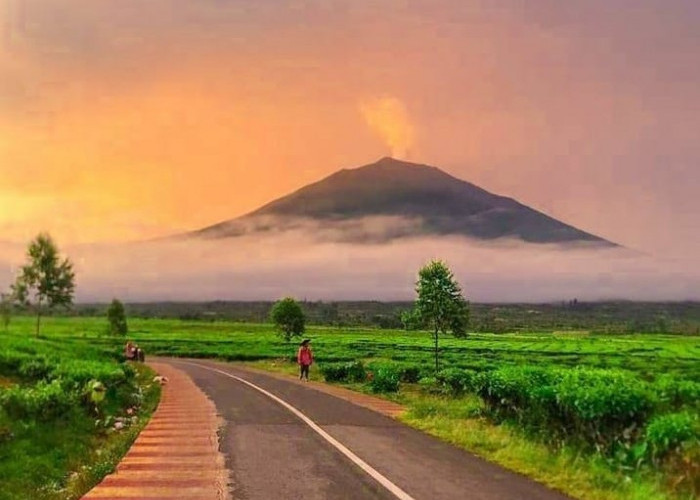 Pendaki Wajib Tahu! Ini Gunung Terkenal di Pulau Sumatera, No 1 Konon Tertinggi!
