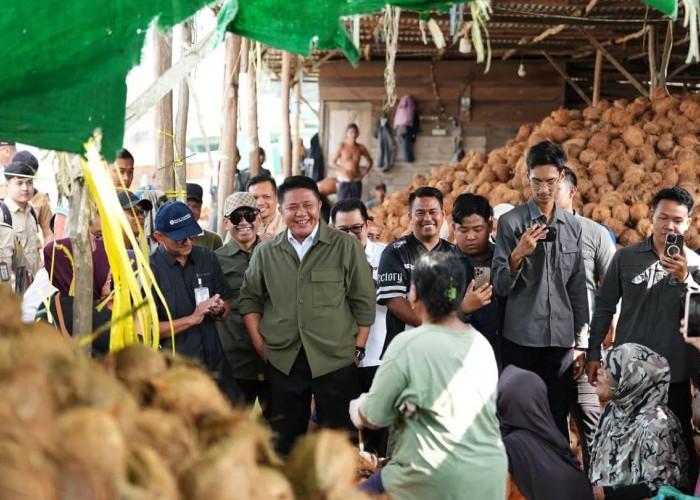 Herman Deru Tinjau Dermaga Kelapa Musi 2, Pastikan Potensi Ekspor Kelapa Sumsel Terus Berkembang