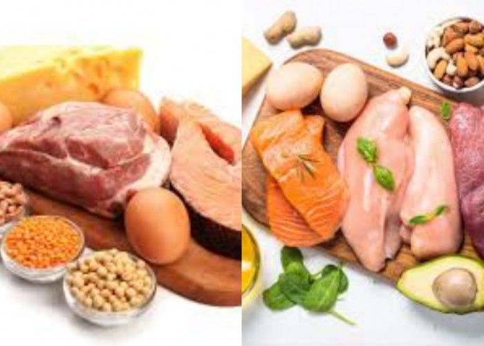 Wajib Ketahui Makanan Berprotein Tinggi dan Manfaatnya di Sini!