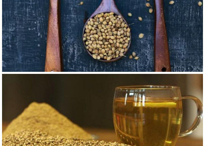 Dibalik Sederhana Rasanya, Ini 11 Khasiat Luar Biasa Rebusan Air Ketumbar untuk Kesehatan