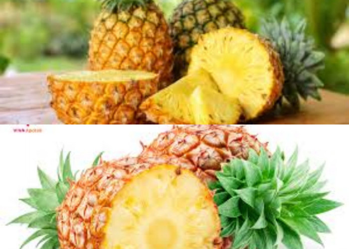 Inilah Keunggulan Nanas, Nutrisi, dan Efek Negatifnya!