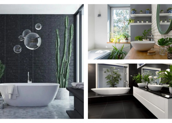 Tanaman Penghilang Bau Kamar Mandi: Solusi Alami Lebih Ampuh daripada Deodoran!