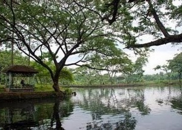 Diselimuti Misteri, Menyingkap Pesona dan Legenda Ronggojalu Danau Alami di Jawa Timur 