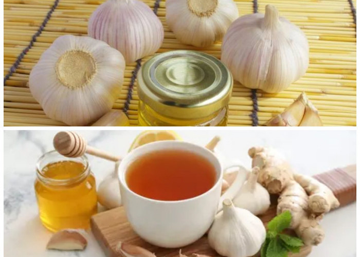 Manfaat Bawang Putih untuk Flu: Resep Herbal Alami yang Mudah Dibuat di Rumah