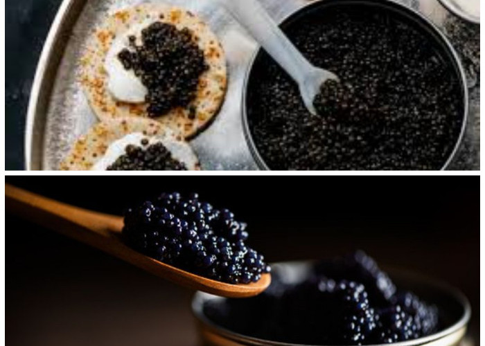 Meski Hidangan Mahal! Caviar Menyimpan Sejuta Manfaat Luar Biasa untuk Kesehatan Loh