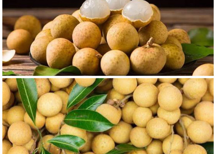 Khasiat Buah Kelengkeng untuk Tubuh, Manis Alami dengan Segudang Nutrisi!