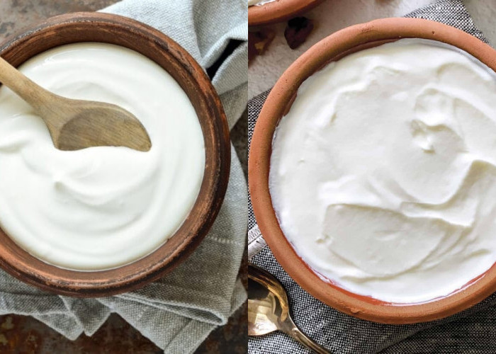 Sumber Protein Berkualitas Tinggi Inilah Manfaat Yogurt Yang Harus Kalian Ketahui! 