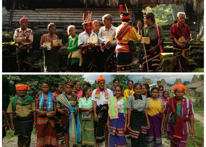 Sejarah Suku Sumba: Asal Usul, Kepercayaan Marapu, dan Warisan Budaya yang Masih Hidup!
