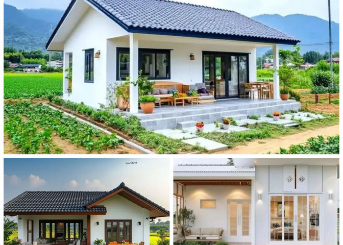 5 Inspirasi Desain Teras Estetik yang Bikin Tampilan Rumah Makin Menawan dan Instagramable!