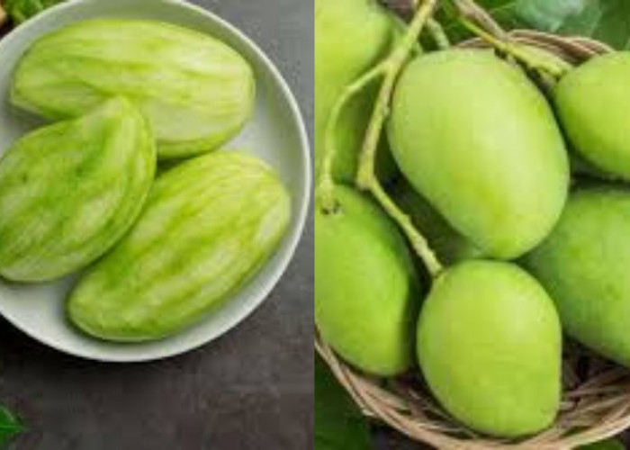 Mangga Muda: Yuk Intip Kandungan Nutrisi Dan Manfaatnya Untuk Kesehatan Tubuh