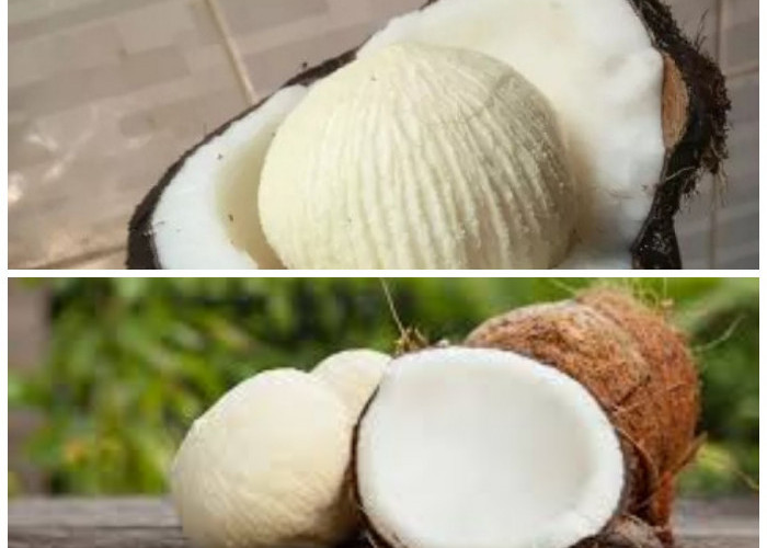Jarang Diketahui, Kentos Kelapa Ternyata Punya Banyak Khasiat untuk Kesehatan