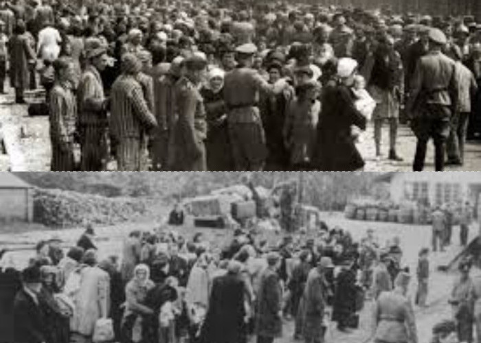 Awal Mula Era Modern Revolusi Industri dan Lahirnya Peradaban Mesin