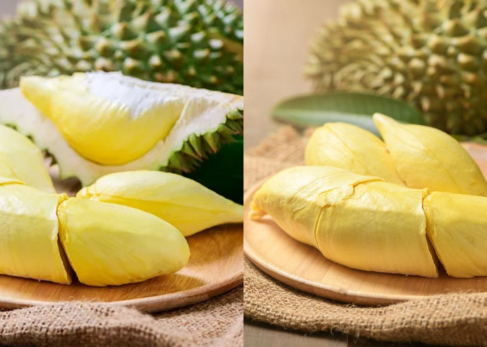 Durian dan Manfaatnya untuk Kesehatan, Apa yang Bisa Dilakukan untuk Tubuhmu?