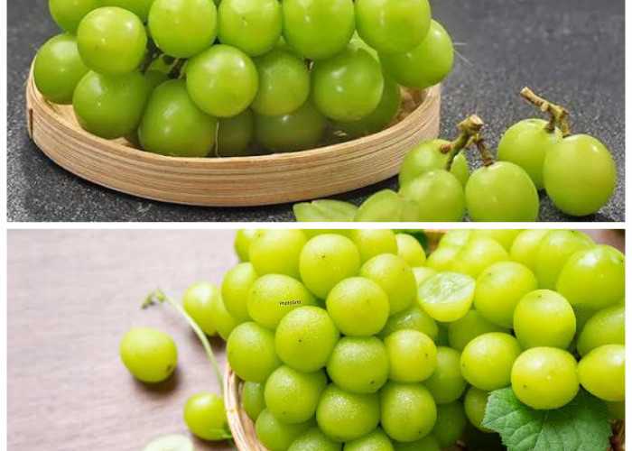 6 Khasiat Anggur Hijau untuk Kesehatan, Buah Segar yang Kaya Nutrisi dan Baik Dikonsumsi Setiap Hari