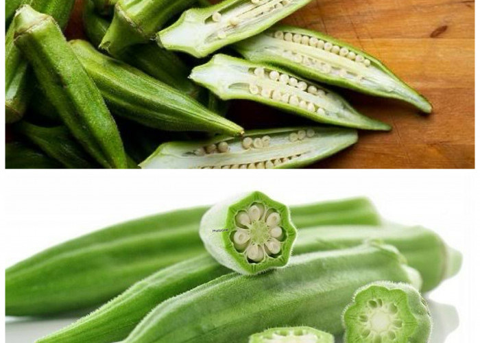 Khasiat Sayur Gambas yang Jarang Diketahui, Baik untuk Kesehatan dan Kebugaran Tubuh!