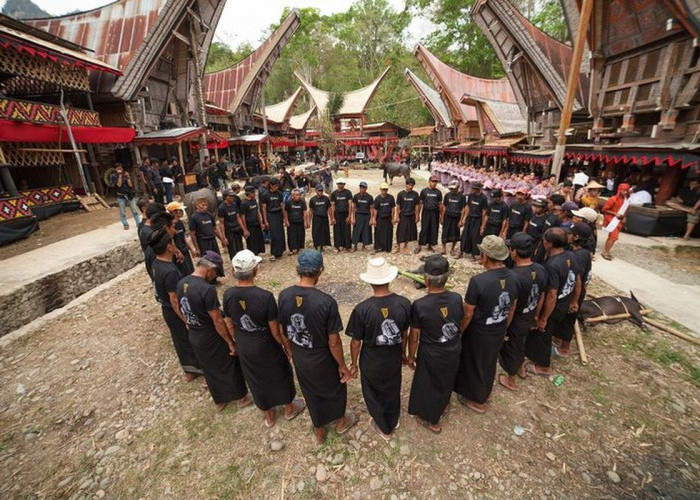 Apakah Anda Tahu Fakta Menarik Tentang Suku Toraja? Temukan Keunikannya!