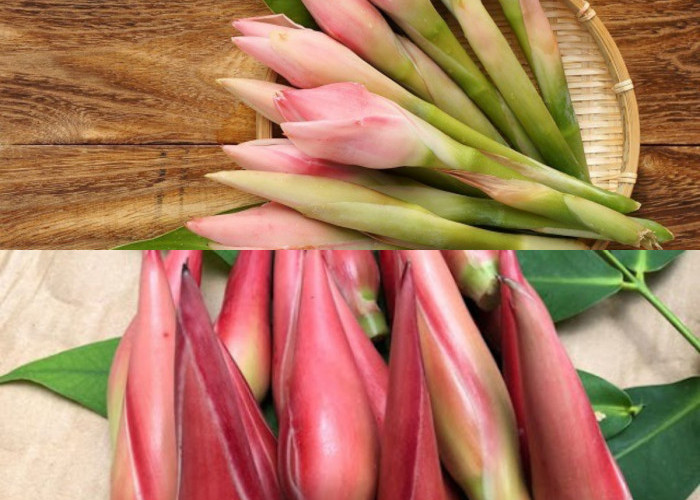 6 Keuntungan Kecombrang untuk Kesehatan serta Cara Memilih dan Mengolahnya!