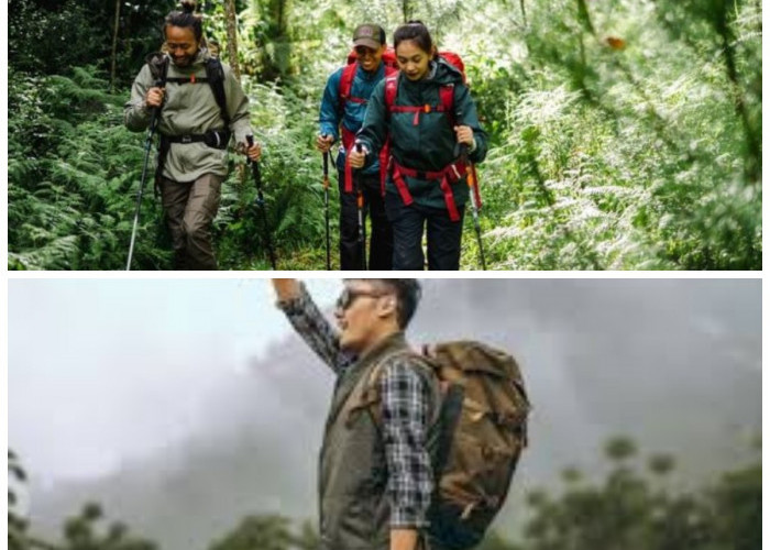 Tips Outfit Trekking: Gaya Stylish dan Nyaman untuk Petualanganmu