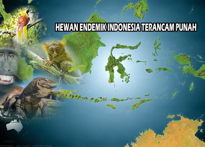 10 Satwa Iknonik Indonesia Yang Terancam Punah, Bahkan Ada Yang Tersisa Kurang dari 80 Ekor Lagi