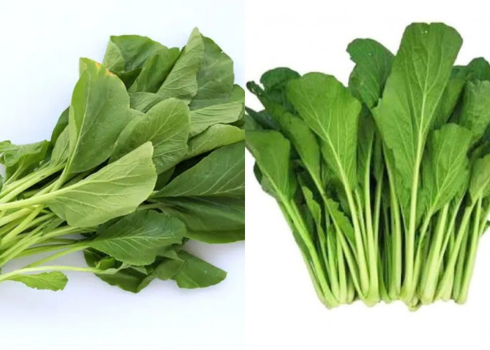 Membantu Program Diet Inilah Manfaat Dari Sawi Yang Harus Kalian Ketahui! 