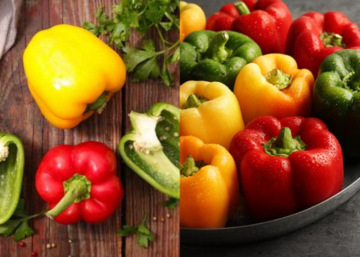 Paprika dan Manfaatnya: Sehatkan Tubuh dengan Sayuran Berwarna Cerah!