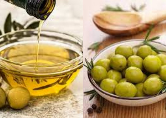 Manfaat Minyak Zaitun Obat Tradisional Yang Harus Kalian Tahu!