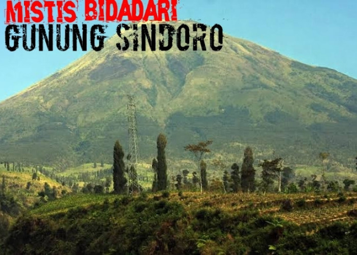 Muncak Ke Gunung Sindoro, Siap Siap Mitos Bertemu Bidadari