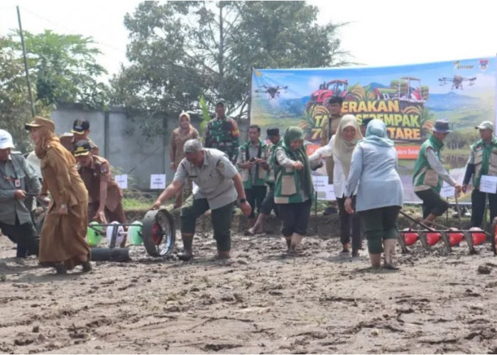 Gerakan Tanam Serentak di Lahan Oplah, Wawako : Berkolaborasi Percepat Produksi Pertanian di Pagar Alam