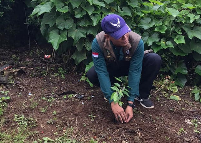 Rehabilitasi Hutlin Kritis