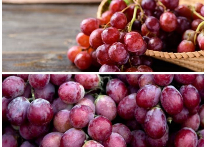 Rahasia Sehat: Manfaat Anggur Merah yang Kaya Nutrisi untuk Tubuh