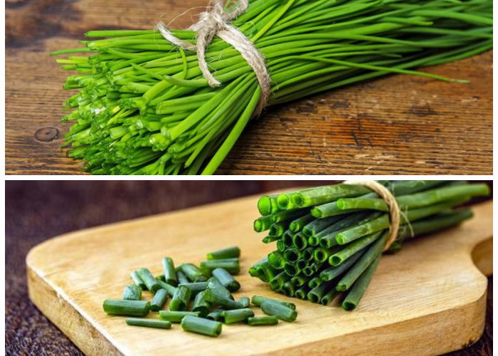 Kaya Manfaat! Inilah 8 Khasiat Bawang Batak untuk Kesehatan Tubuh