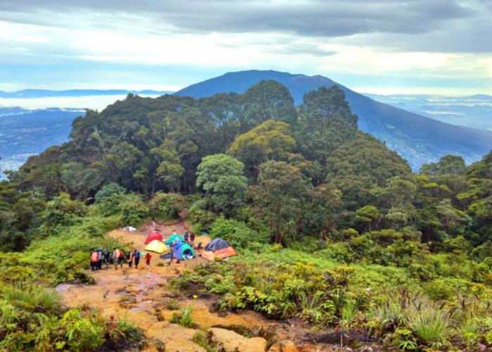 Pesona Gunung Sago, Menyusuri Keindahan Alam di Puncak Sumatera Barat