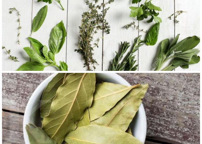 Atasi Nyeri Sendi Secara Alami dengan 6 Ramuan Daun Berkhasiat Ini